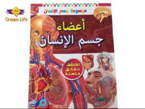 موسوعة جسم الإنسان _ أعضاء جسم الإنسان