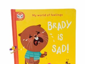 My world feelings _ Brady is sad