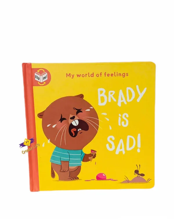 My world feelings _ Brady is sad