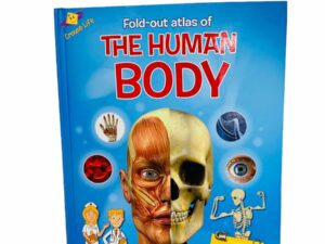 My fold-out atlas of The human body