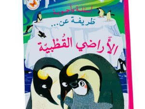 أسئلة وأجوبة طريفة عن _ الأراضي القطبية