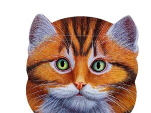 وجوه الحيوانات _ القطة