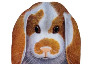 وجوه الحيوانات _ الأرنب
