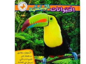 الحيوانات المجسمة _ ماذا ترى في الغابة