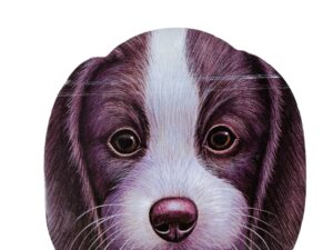 وجوه الحيوانات _ الكلب