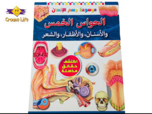موسوعة جسم الإنسان _ الحواس الخمس والأسنان والأظافر والشعر