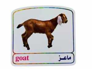 بطاقات حيوانات المزرعة