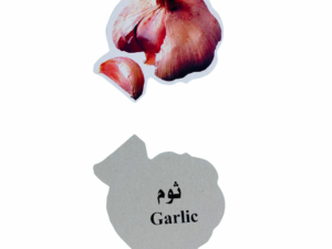 بطاقات الخضروات التعليمية