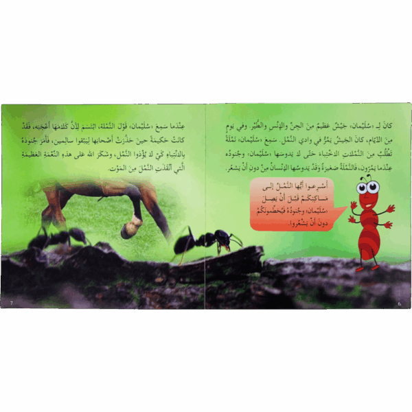 ⁦النبي سليمان⁩ - الصورة ⁦2⁩
