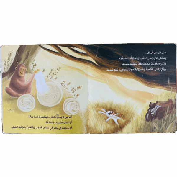 ⁦شمسية سومي⁩ - الصورة ⁦2⁩