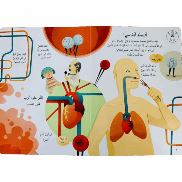 ⁦ارفع الطيات واكتشف _ جسم الإنسان⁩ - الصورة ⁦2⁩