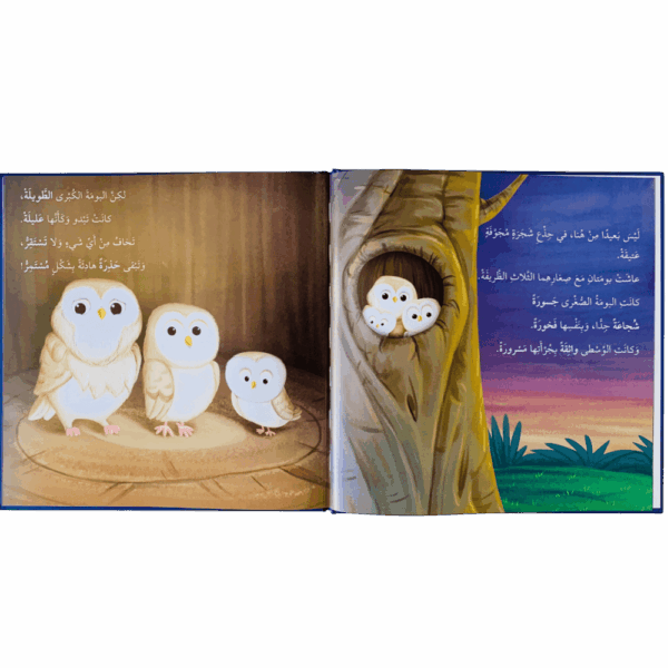 ⁦أنا ومشاعري _ حين تخاف البومة⁩ - الصورة ⁦2⁩