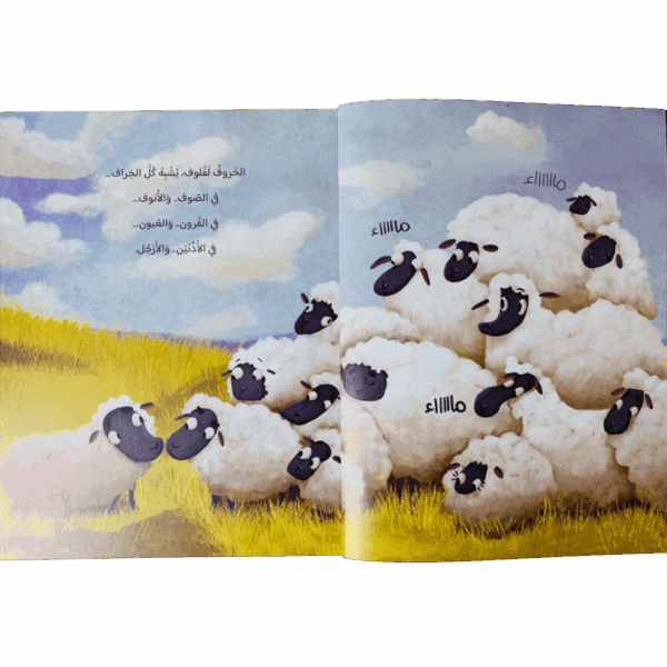⁦الخروف لفلوف⁩ - الصورة ⁦2⁩