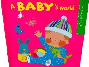 My first picture book _ a baby’s world