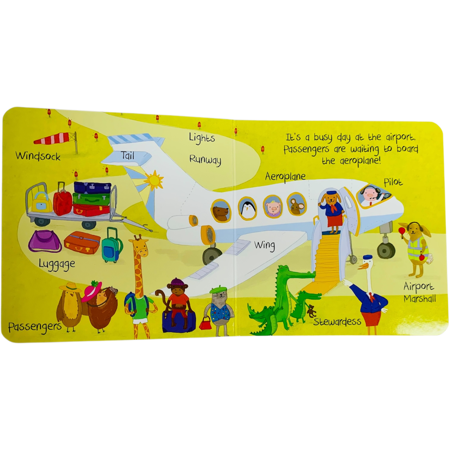 First world book _ on holiday - الصورة 2