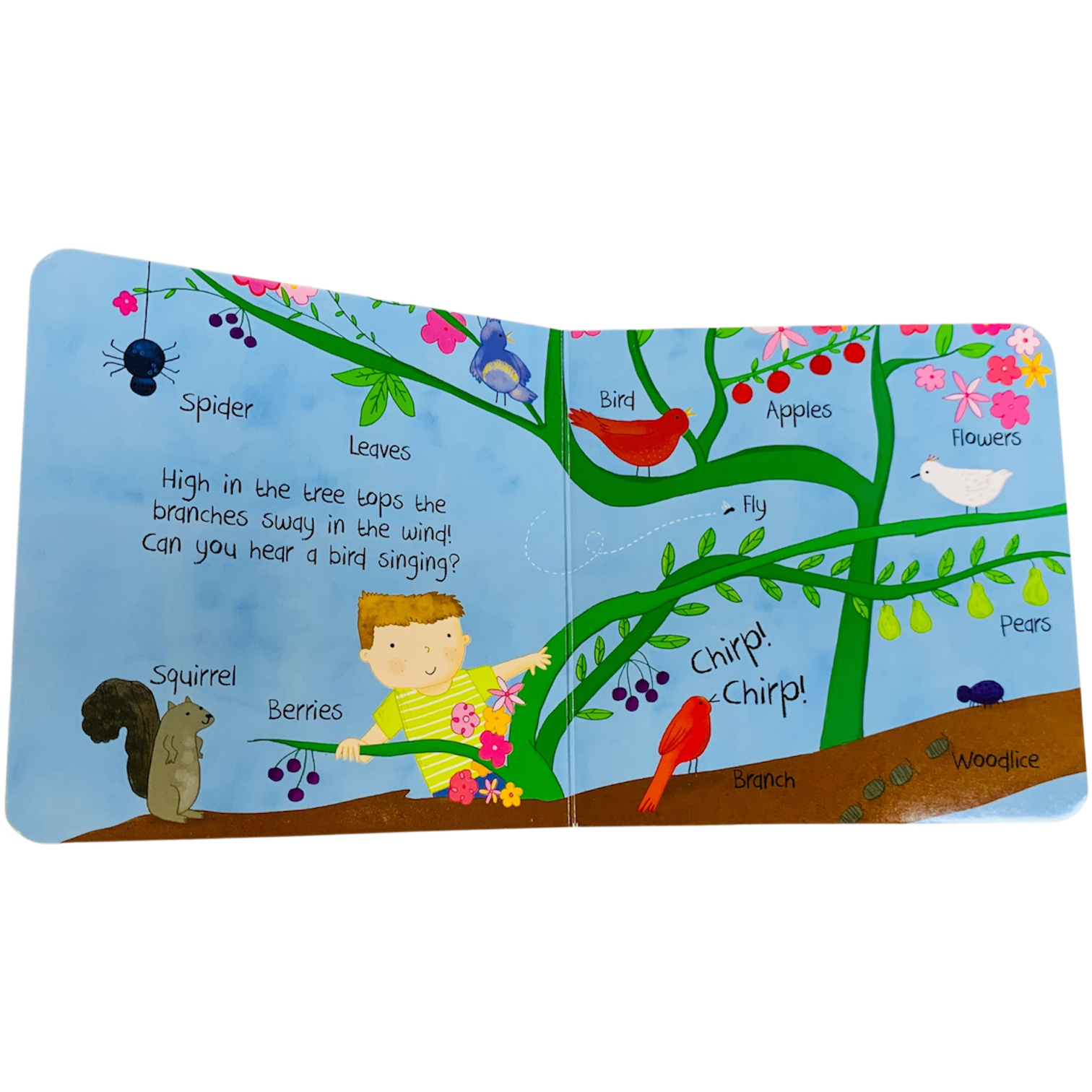 First world book _ in the garden - الصورة 3