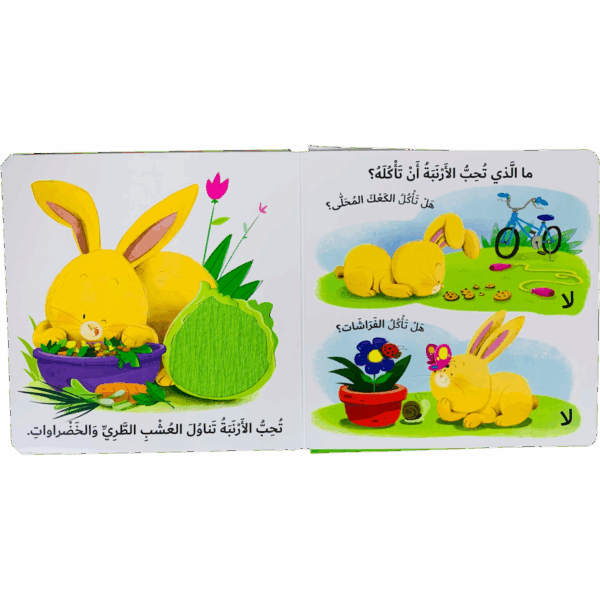 ⁦التعلم بحاسة اللمس _ الأرنبة⁩ - الصورة ⁦3⁩
