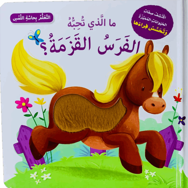 التعلم بحاسة اللمس _ الفرسة القزمة