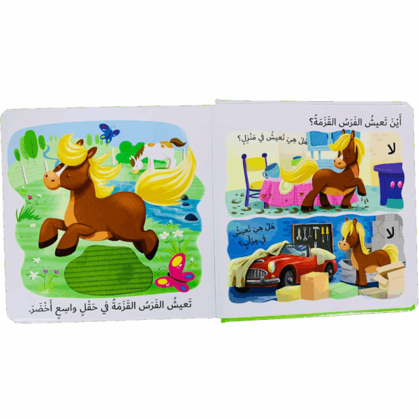 ⁦التعلم بحاسة اللمس _ الفرسة القزمة⁩ - الصورة ⁦2⁩